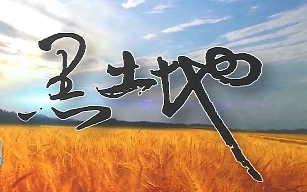 【广播电视】辽宁卫视《黑土地》2023011220230120哔哩哔哩bilibili