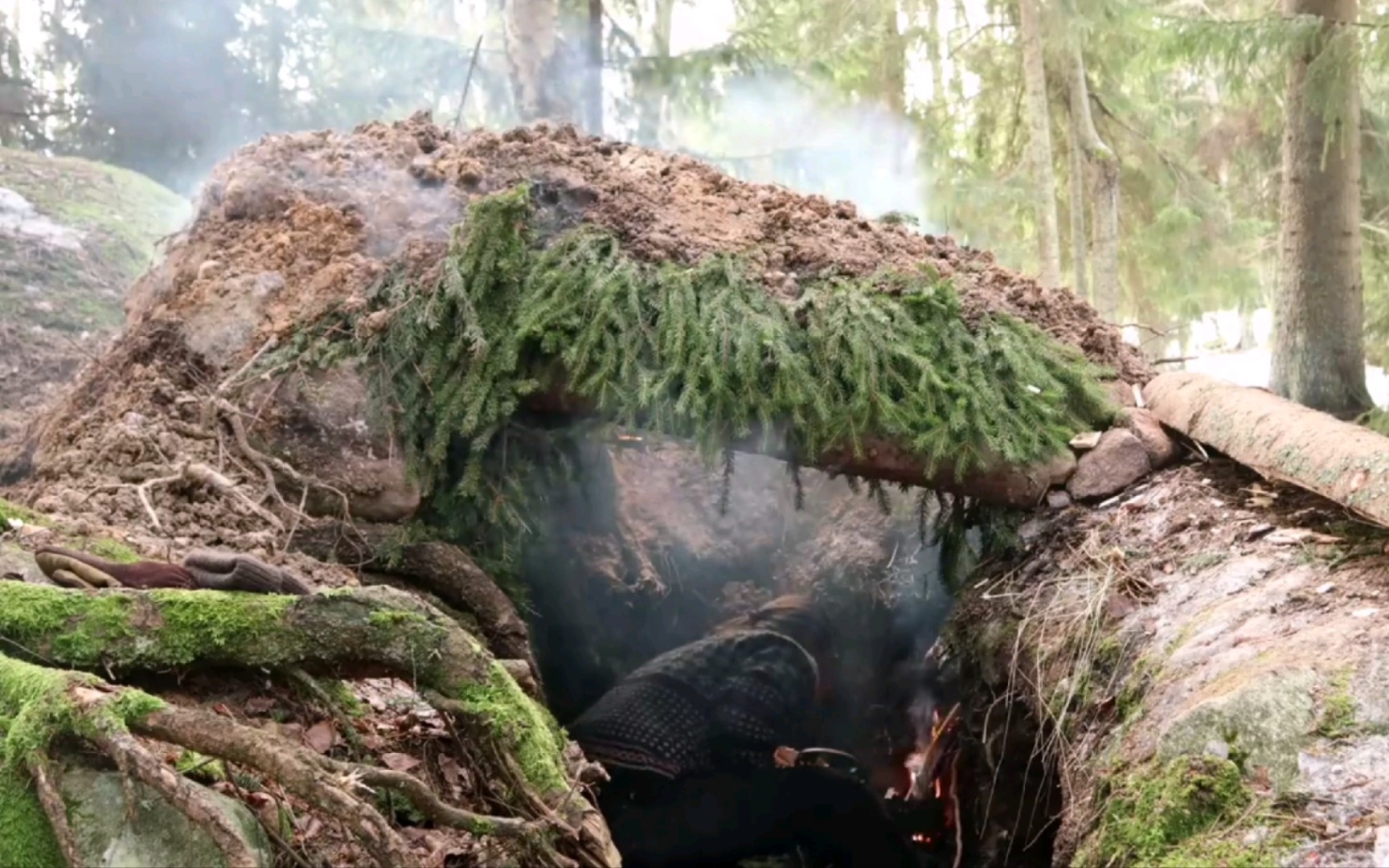 北部荒野生存挑戰,砍伐雲杉木,製成木板搭建避難所營地,雲杉樹葉屋頂