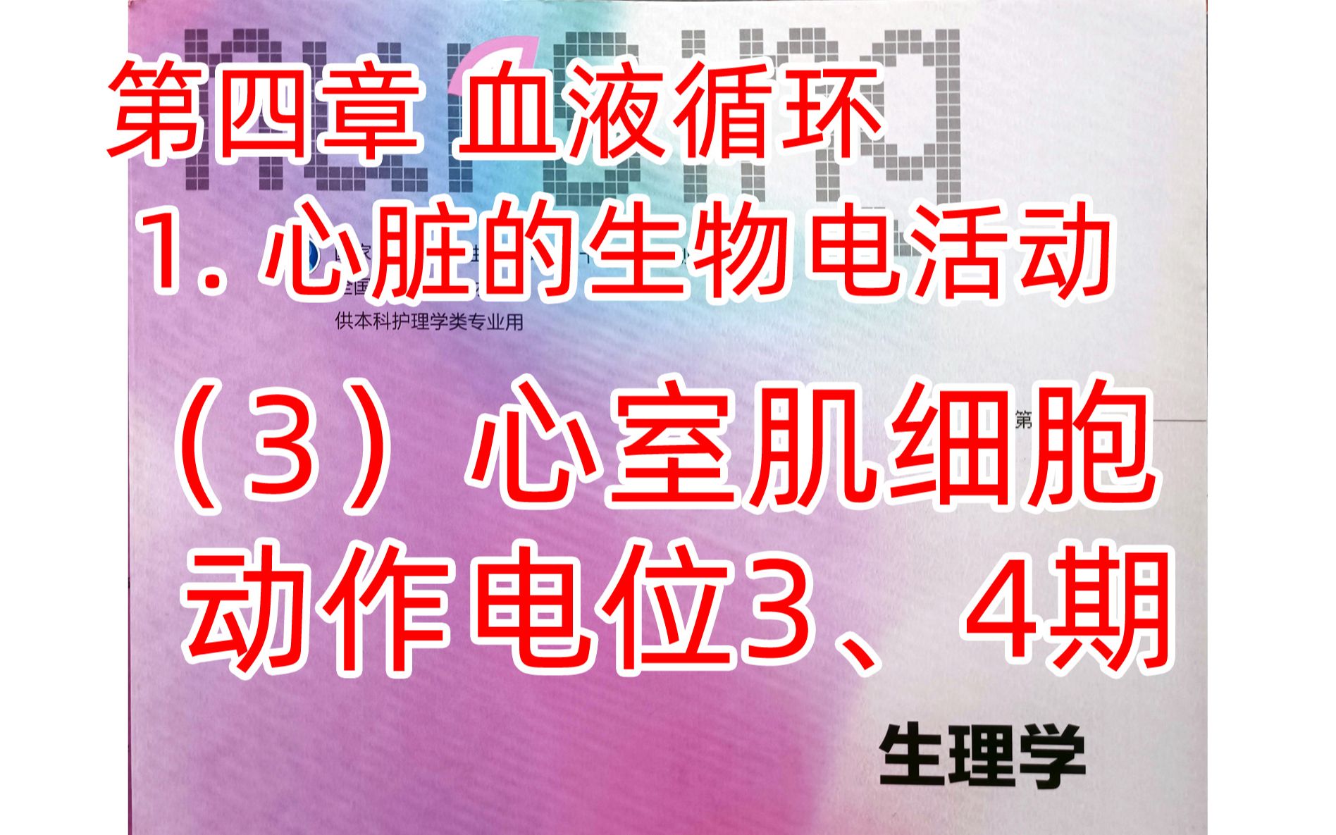 《生理学》循环3心室肌细胞动作电位3、4期哔哩哔哩bilibili