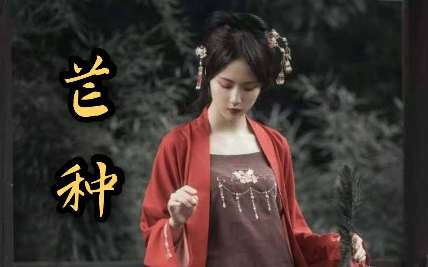 【芒种】【诸葛大力】成果古装神仙颜值混剪