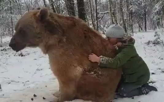 [图]【熊】不管长到多大 永远都是妈妈的小宝贝