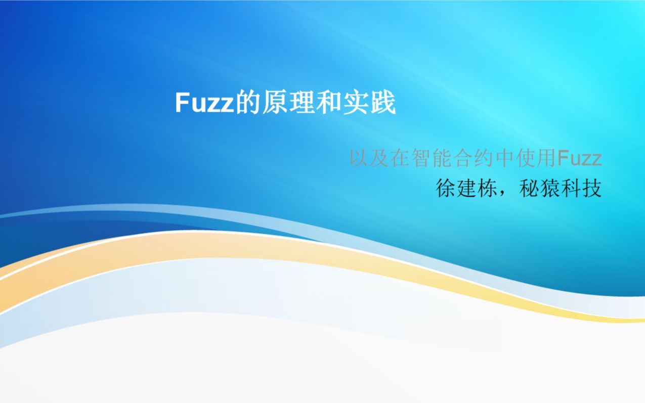 Fuzz的原理和实践,以及在智能合约中使用Fuzz哔哩哔哩bilibili