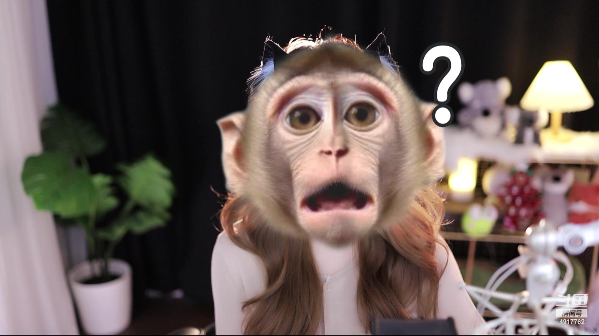 lone考拉_2024-05-13 22时31分生日过农历5.16号哦4917762 - lone考拉