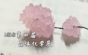 Download Video: 【晶体化学展】樱花味晶簇