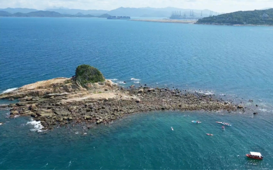 深圳东部唯一的小岛|洲仔岛9915优质的海水资源和种类繁多的珊瑚