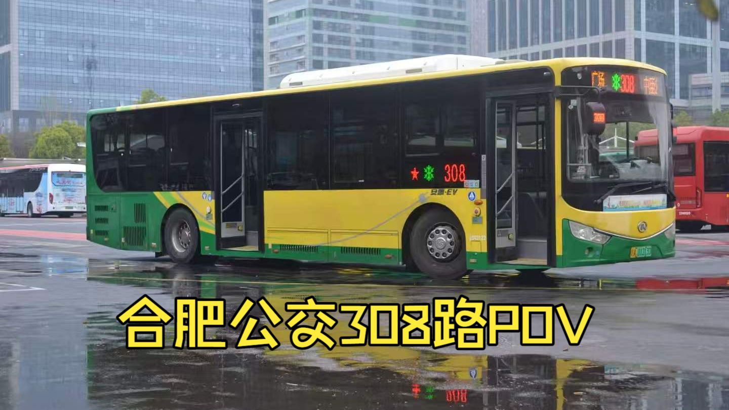 [中庙滨湖一线连]【夜驰公交逐晚风，长堤灯影掠匆匆】合肥公交308路POV