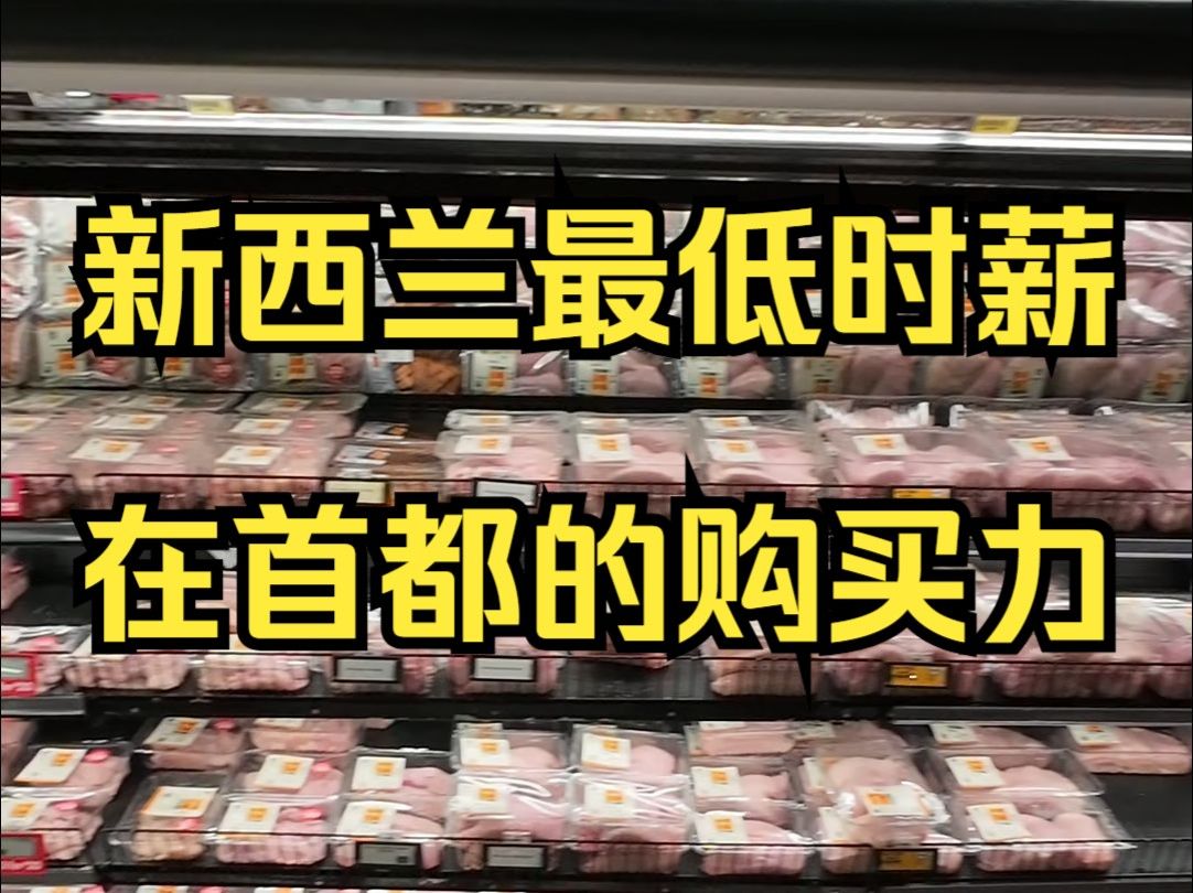 新西兰1小时最低工资,在首都的购买力——户晨风全球购买力系列哔哩哔哩bilibili