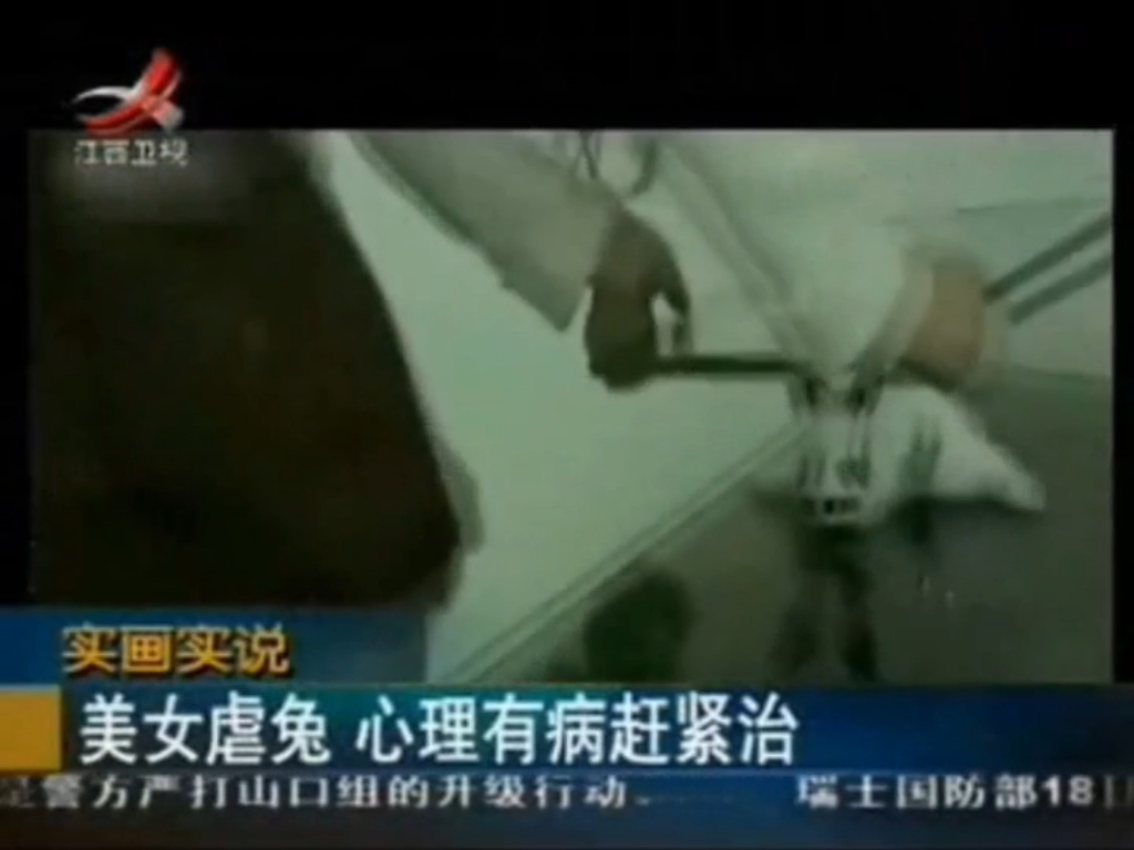 视频:成都美女自拍虐兔视频 活生生将兔子坐死