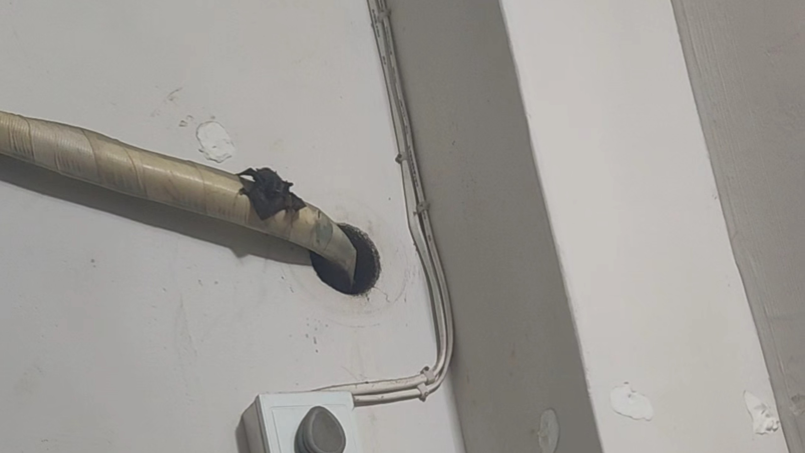 这蝙蝠是怎么进来的