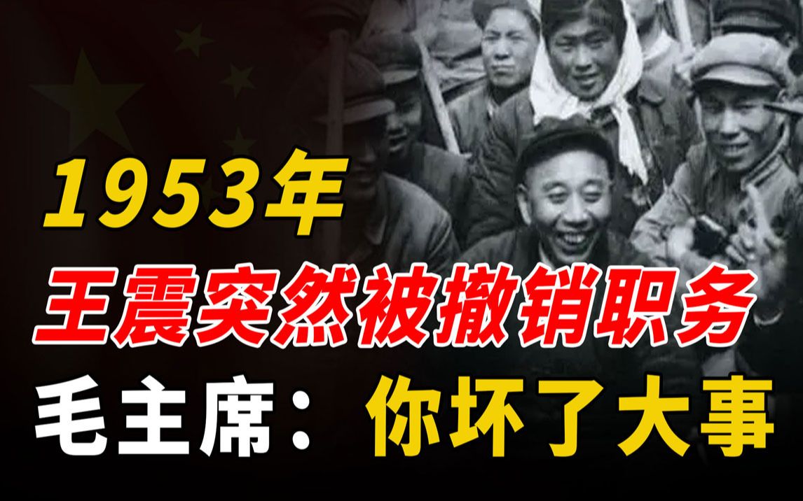 1953年,王震在新疆被撤销职务,毛主席直言:你坏了国家的大事!哔哩哔哩bilibili