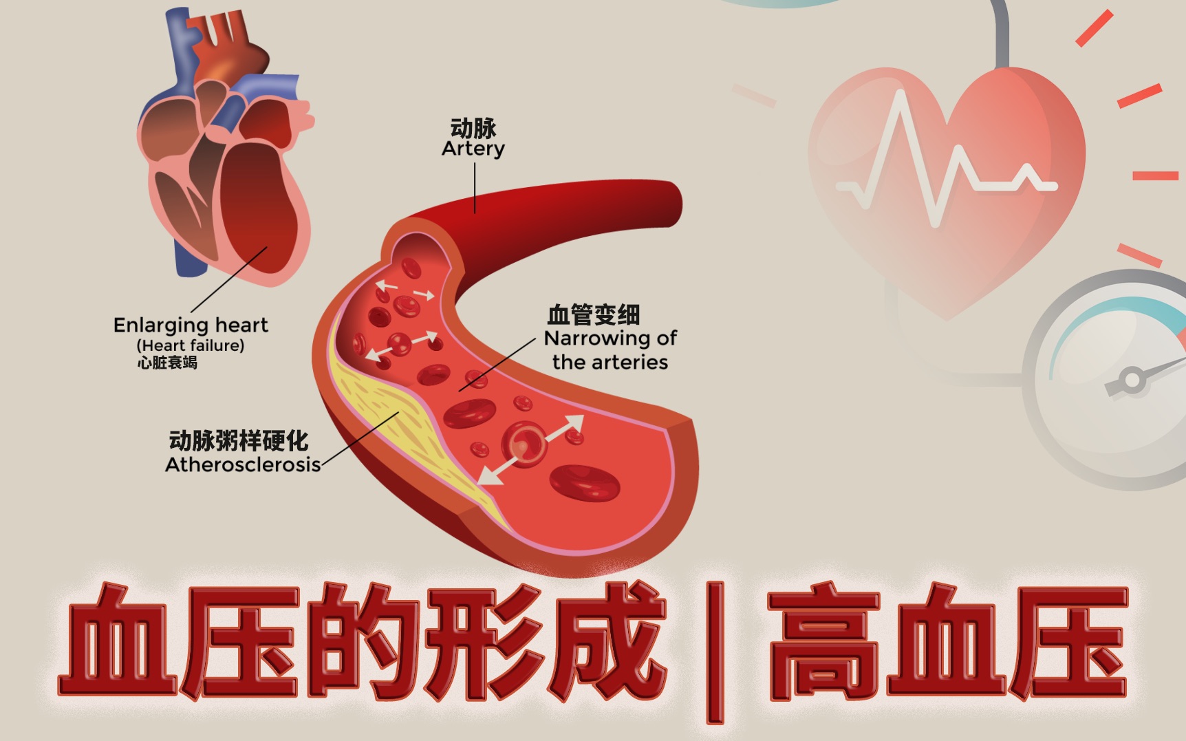 血压的形成和「高血压」哔哩哔哩bilibili