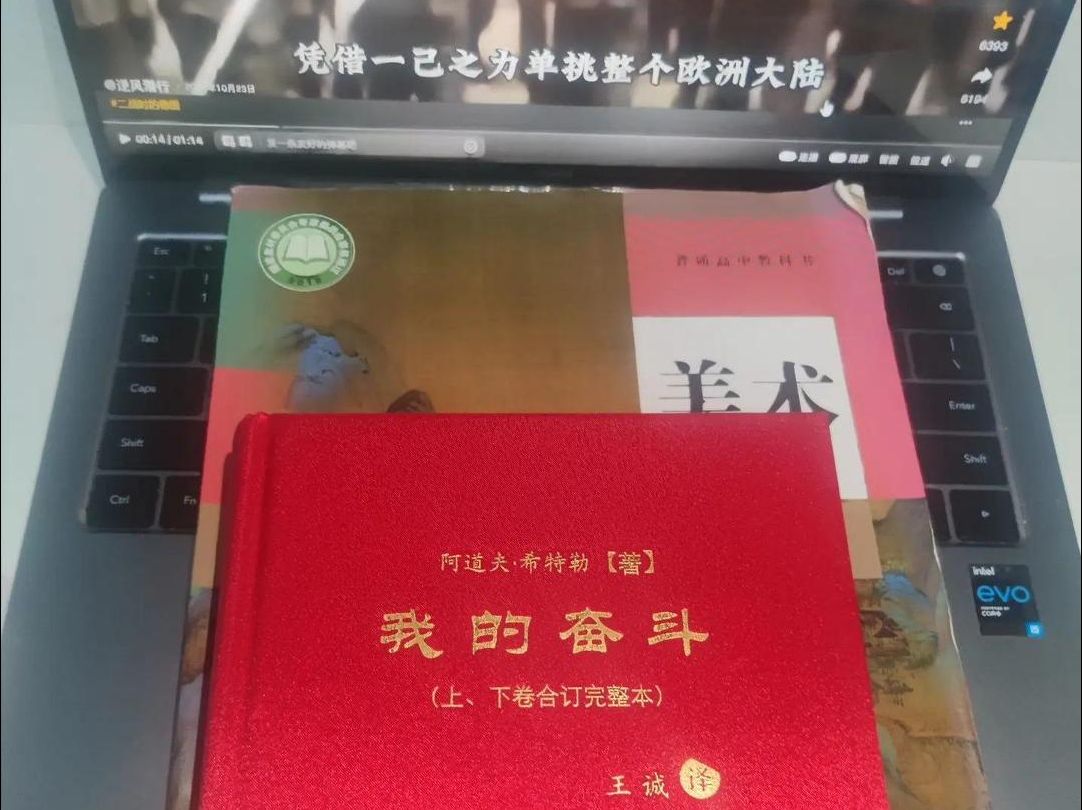 《我的奋斗》49万余字,曾被列为全球禁书、最危险的书哔哩哔哩bilibili