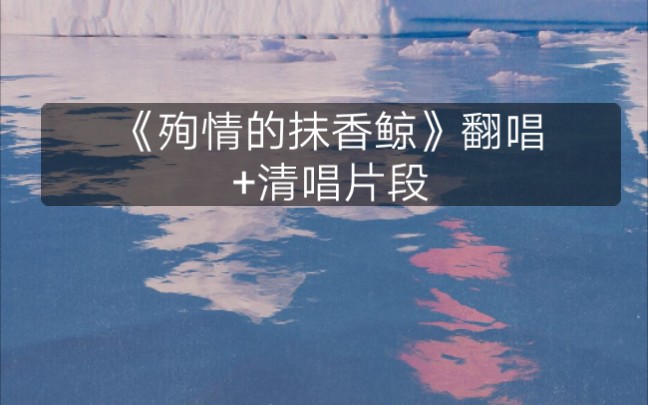 祈年殉情的抹香鲸翻唱清唱片段