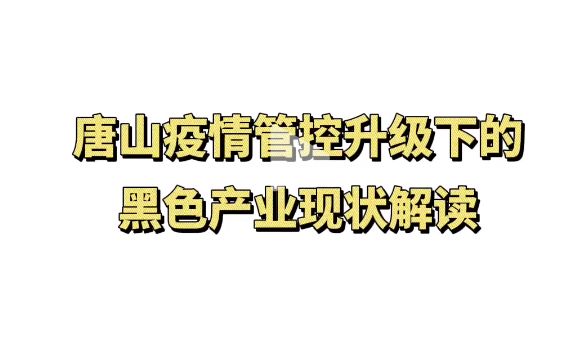 唐山疫情管控升级,黑色产业现状如何?哔哩哔哩bilibili