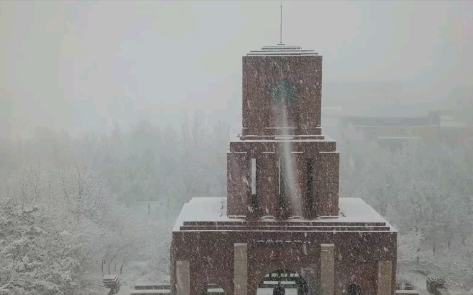 天津下雪啦哔哩哔哩bilibili