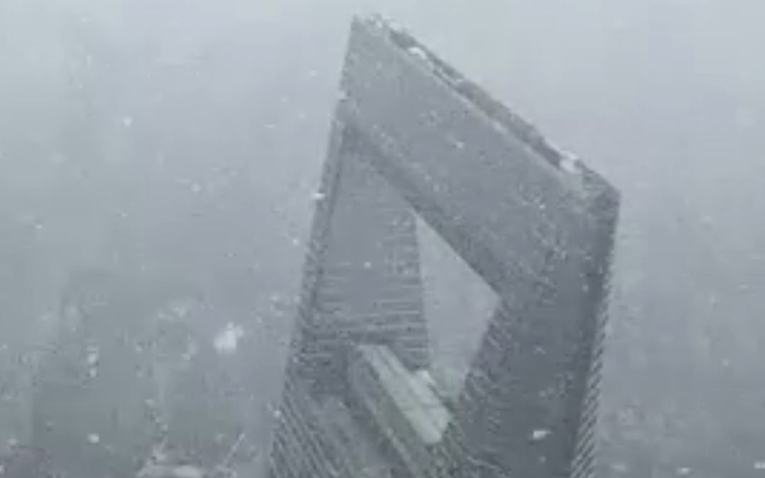 上海又双下雪了!上海之巅飘起“认真的雪哔哩哔哩bilibili