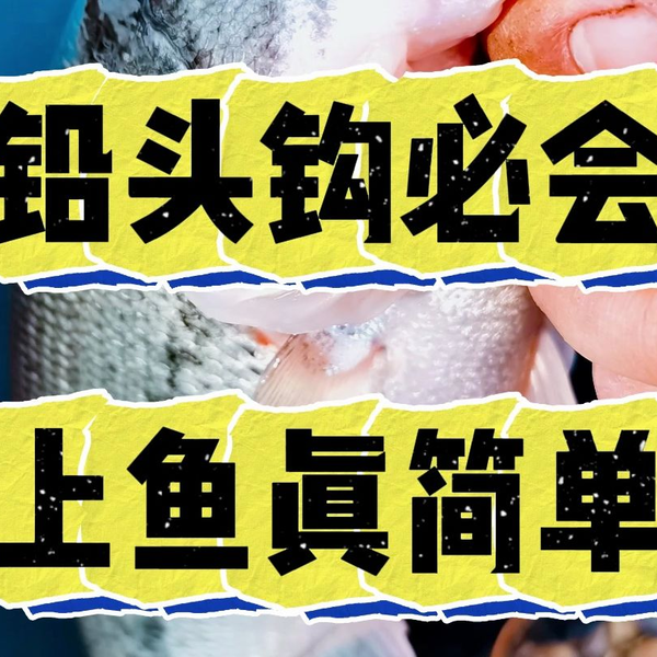 野水路亚初阶钓组速查第二集铅头钩钓组水下姿态_哔哩哔哩_bilibili