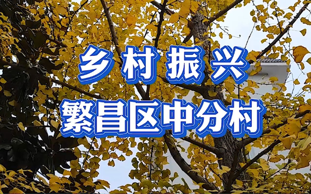 芜湖市繁昌区中分村入选2022年中国美丽休闲乡村哔哩哔哩bilibili