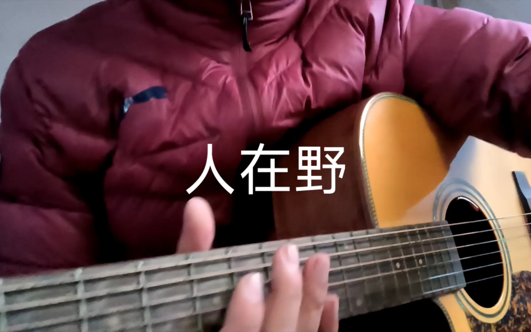 [图]人在野 弹唱 布志纶(cover)