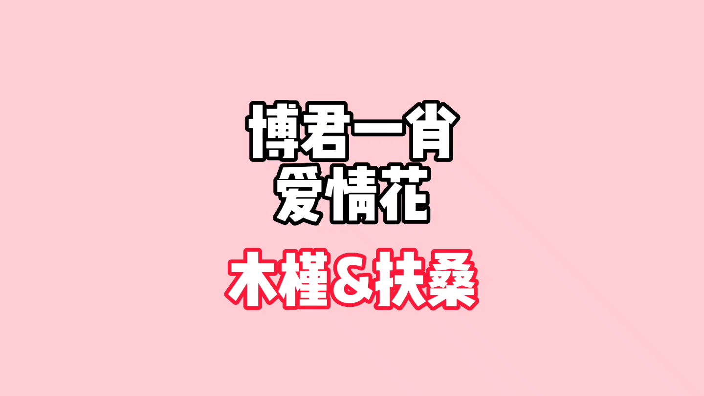 博肖爱情花:木槿扶桑.永恒的爱啊~哔哩哔哩bilibili