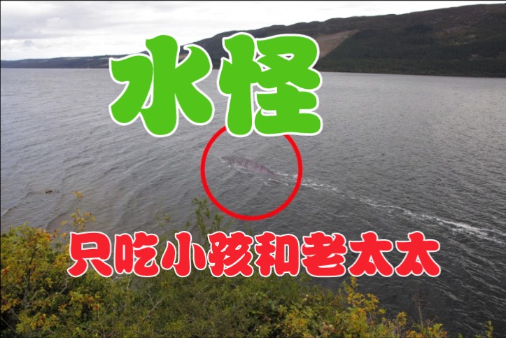 见过水怪吗?村附近的水库就有一只,这些年是怪事频发!