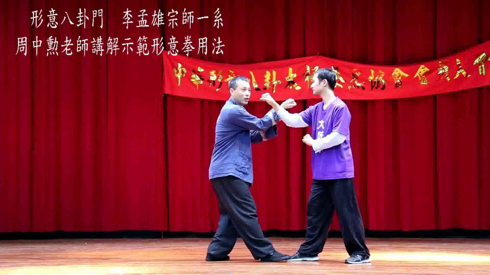 2016河北形意拳劈拳暗劲用法劈法的实战运用internalstrengthpiquan