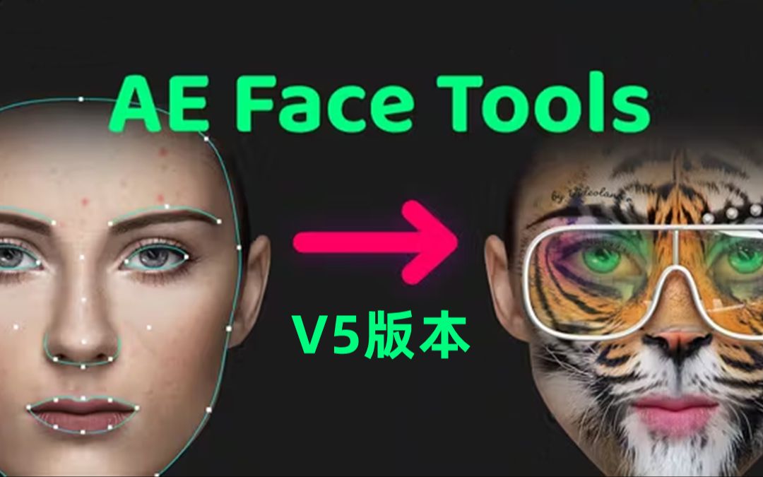 更新了!人脸面部跟踪合成美颜美容滤镜特效插件,AE Face Tools V5哔哩哔哩bilibili