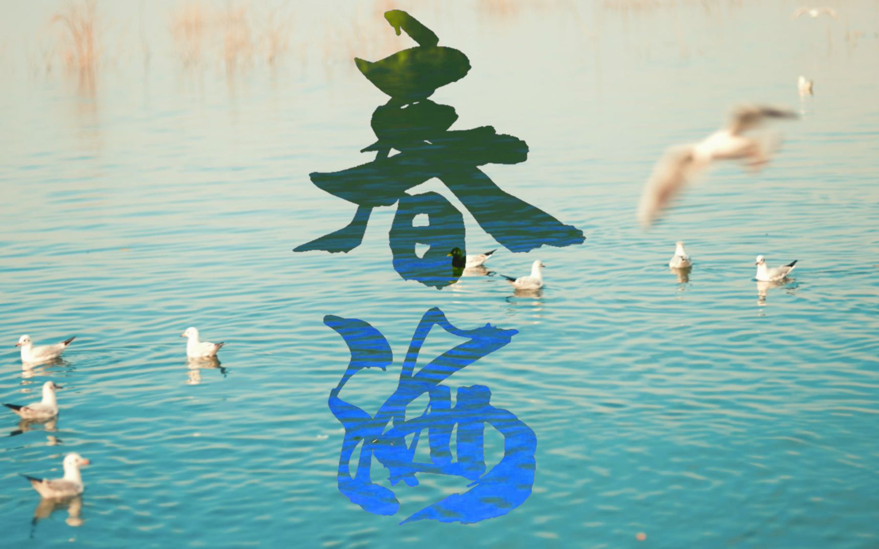 春海_哔哩哔哩_bilibili