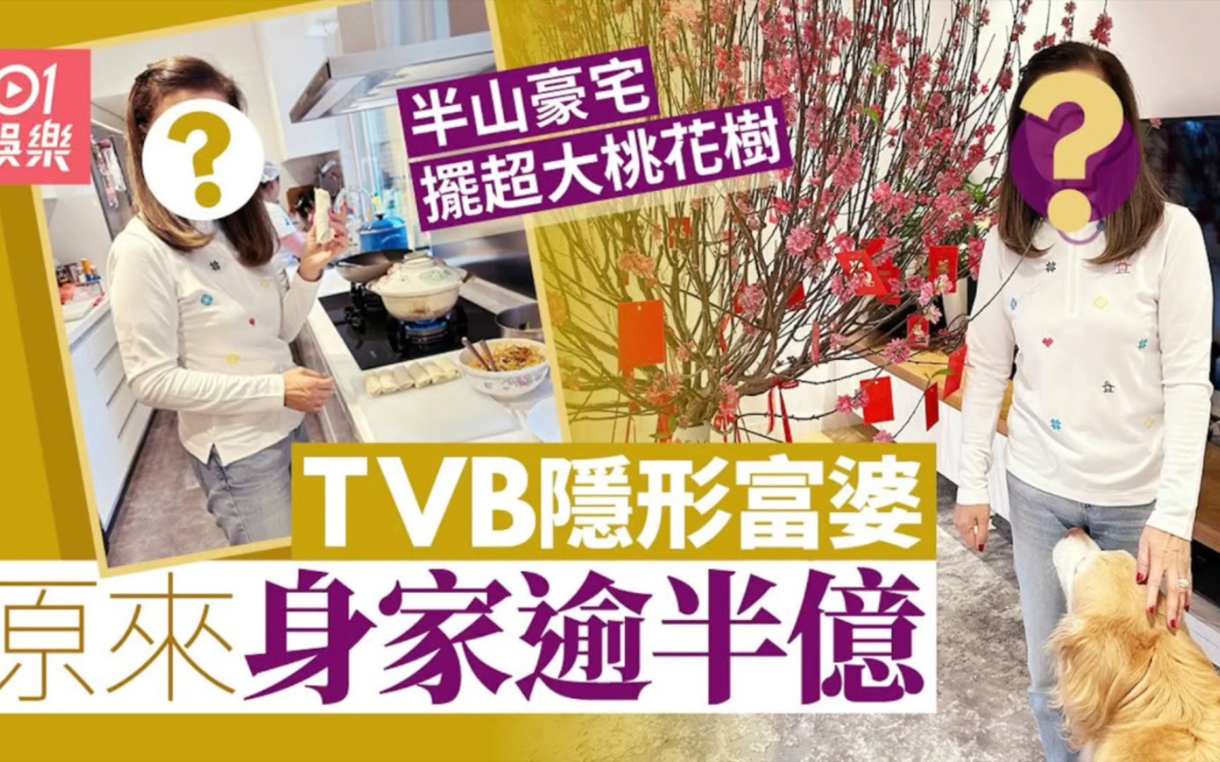 TVB 绿叶马海伦原来是隐形富婆哔哩哔哩bilibili