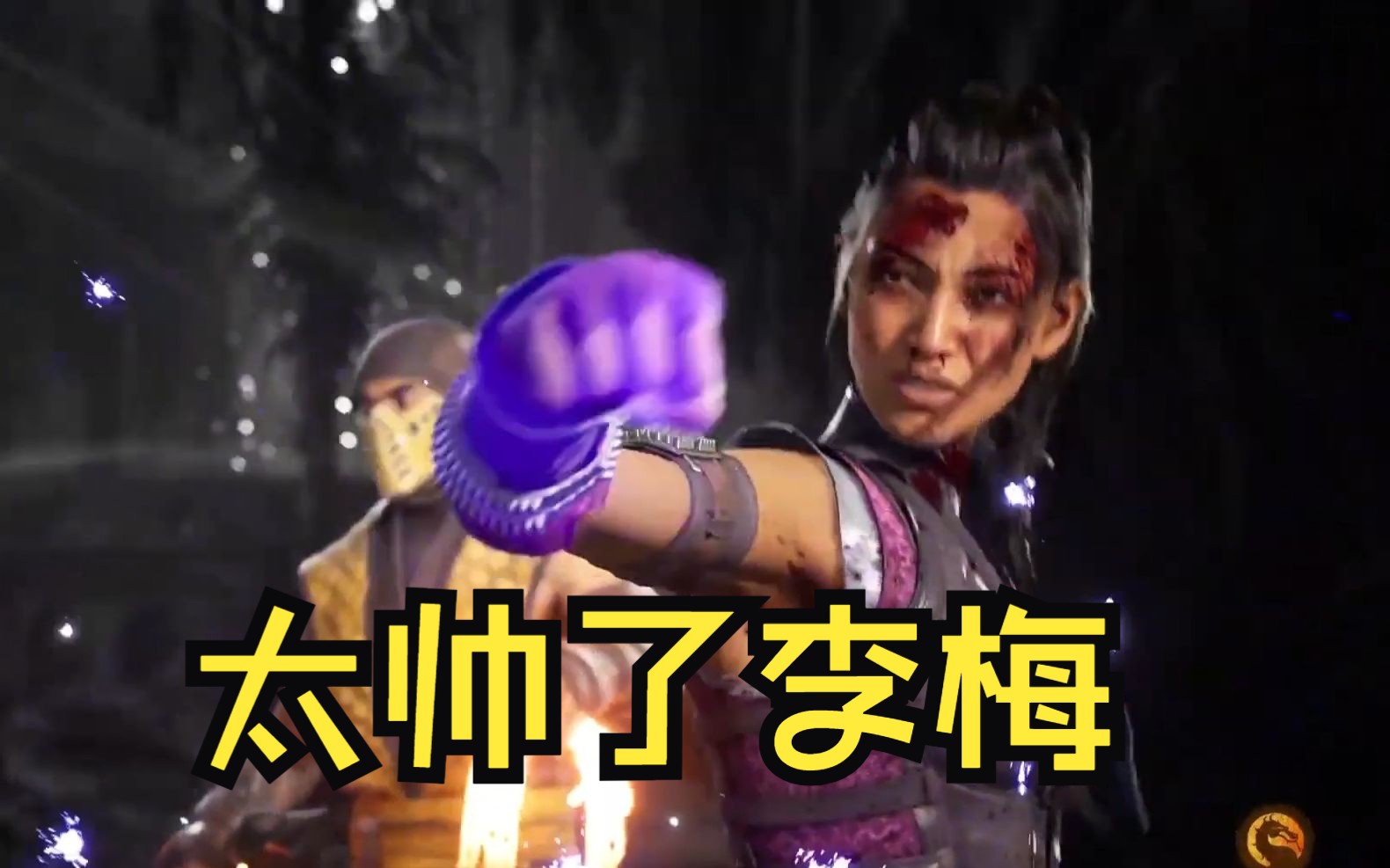 真人快打1:忍杀的李梅暴揍雷电