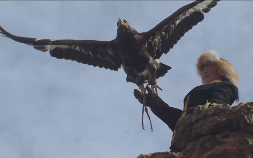 中字纪录片女猎鹰人theeaglehuntress2016imdb76豆瓣82
