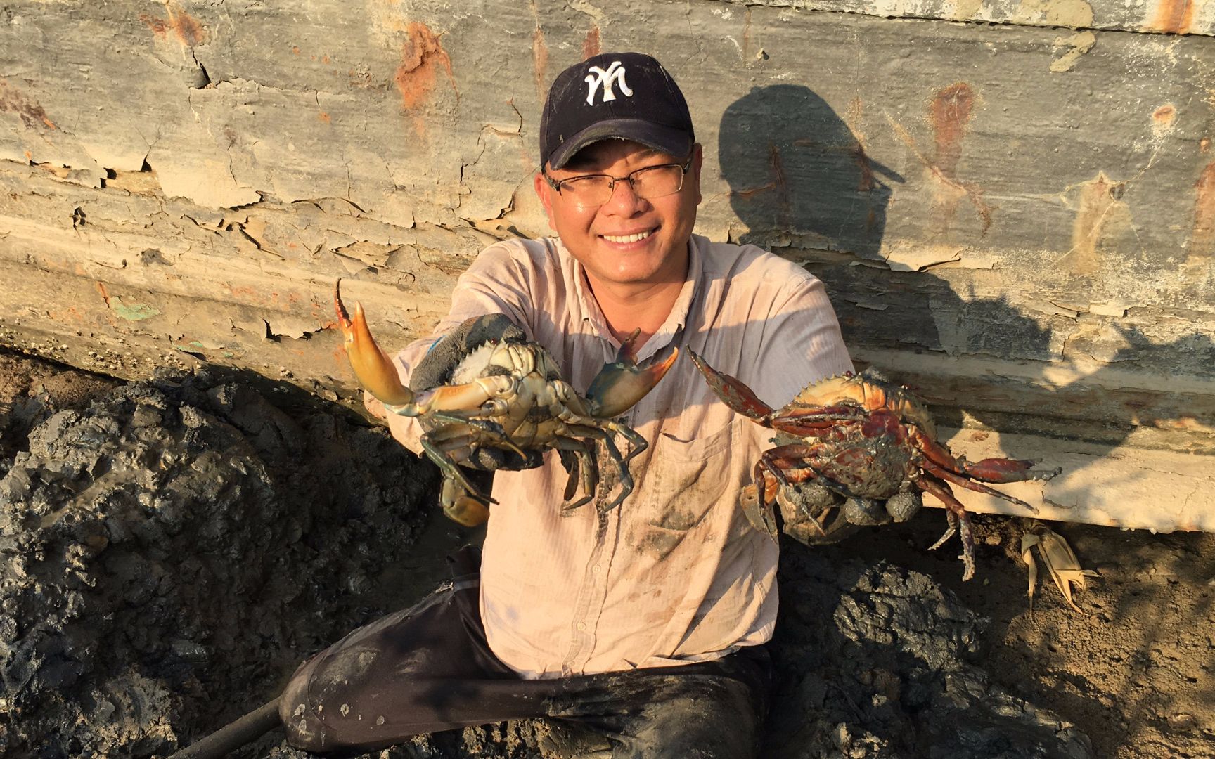 闲牛发现废船下面有好多蟹洞,一挖开果然有大货,这次赶海发财了
