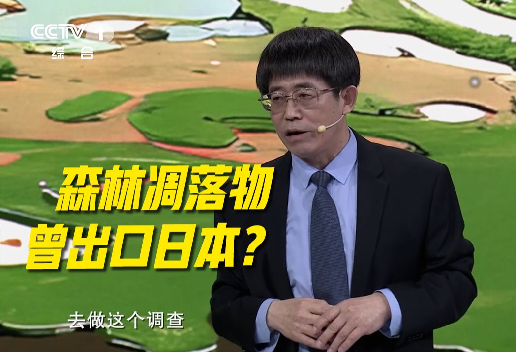 森林凋落物出口利润可观 他为什么坚决要断这个财路?哔哩哔哩bilibili