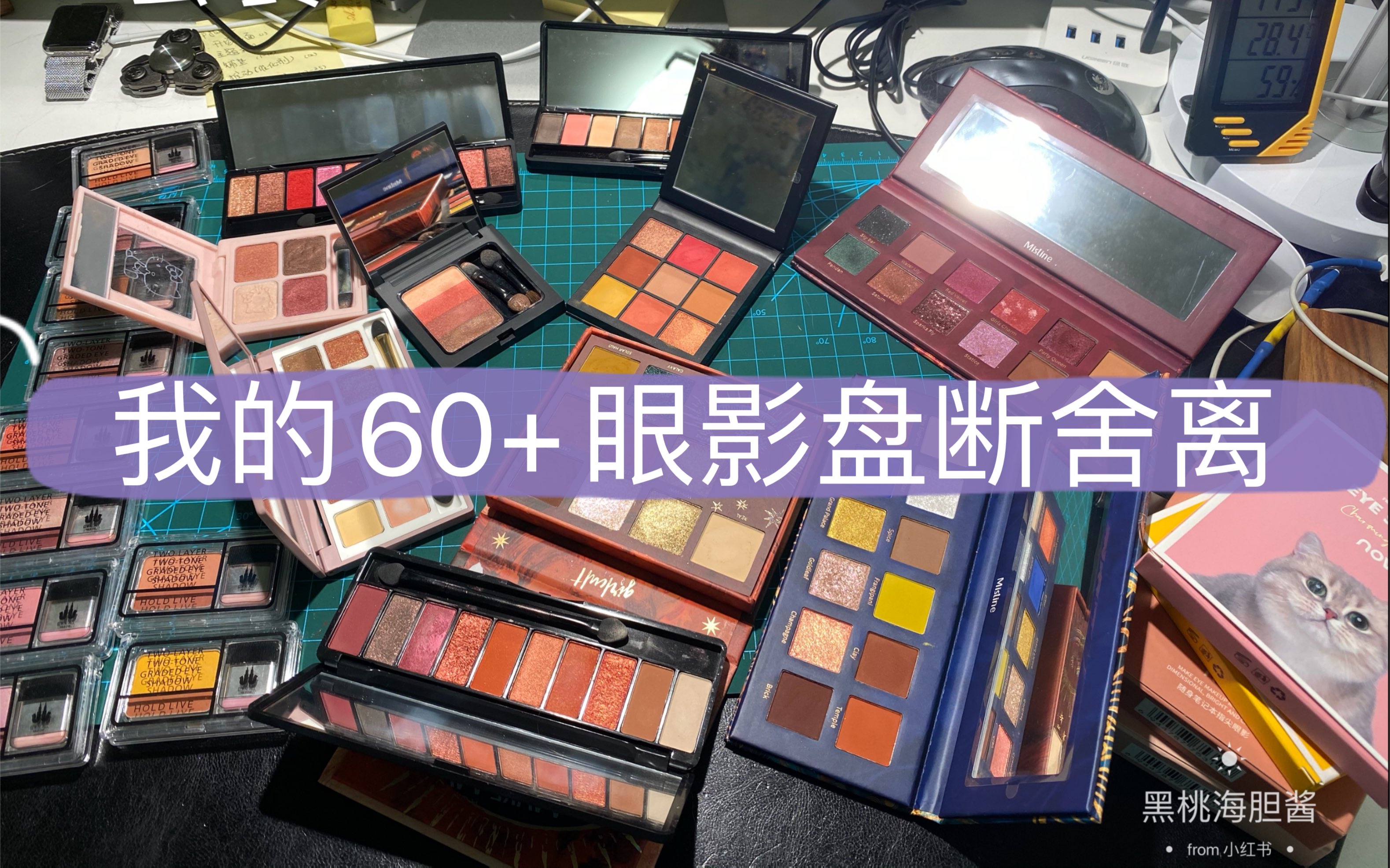 【海胆酱】环保主义!我的60+盘眼影盘断舍离|huda beauty、荔萌、橘朵、hold live、image、elf、她素、稚优泉...若干品牌眼影挑选试色哔哩哔哩bilibili