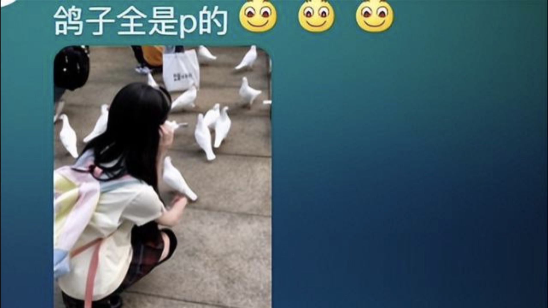 女生p图都在p什么哈哈哈哈哈哈哔哩哔哩bilibili