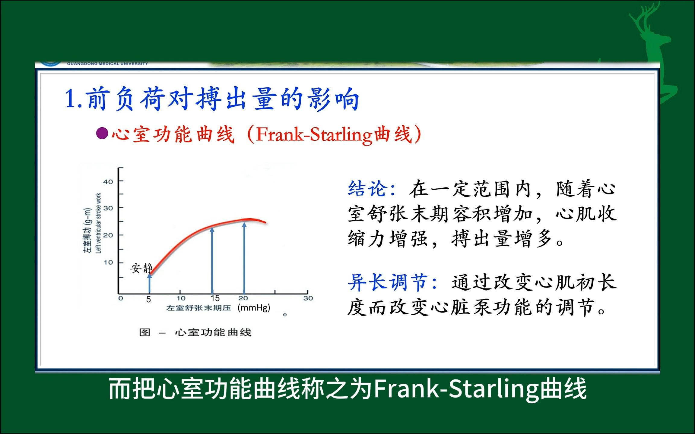 #影响心输出量的因素(1/2)#前负荷对搏出量的影响#人体生理学#医学科普#每天学习一点点哔哩哔哩bilibili