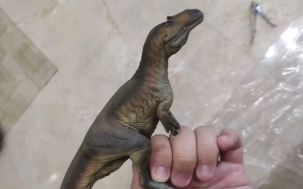 食蜥王龙体长图片