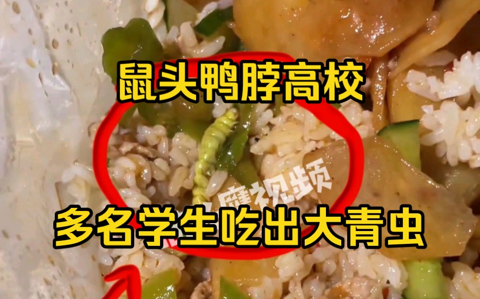 [图]“鼠头鸭脖”高校食堂再被曝光，多名学生吃出大青虫