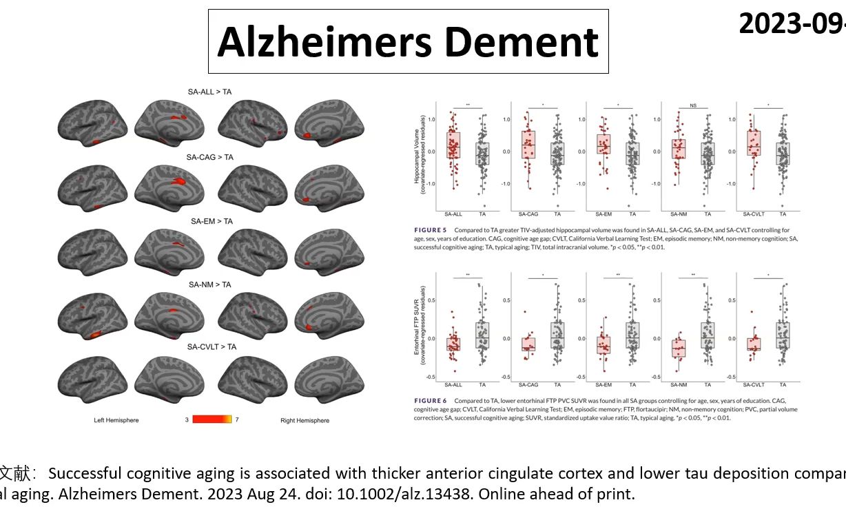 Alzheimers Dement—老年人记忆力好的关键在哪里?哔哩哔哩bilibili