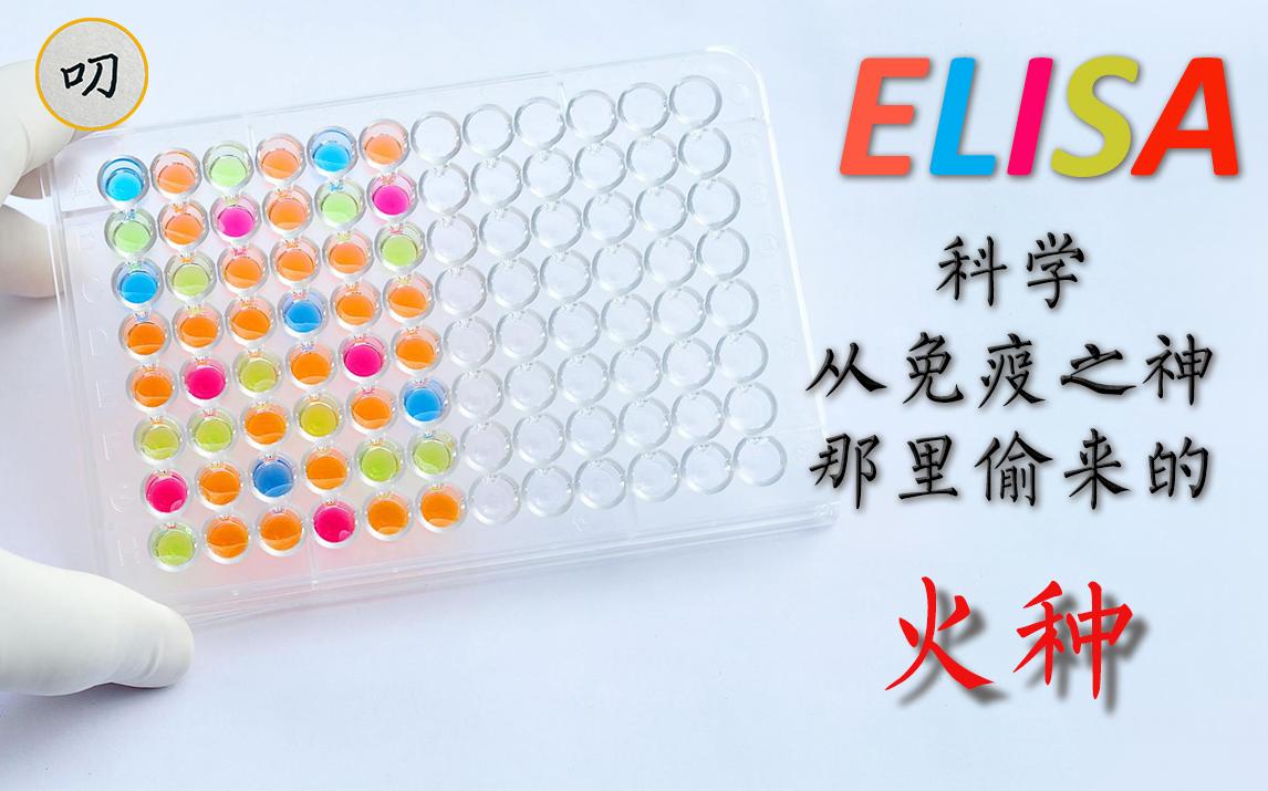 越低调的越可靠!酶联免疫分析(ELISA)——用免疫分析抓出新冠和艾滋病哔哩哔哩bilibili