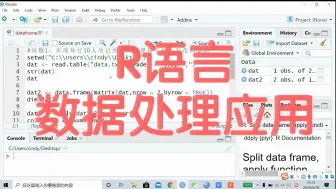 Tải video: R语言数据处理应用