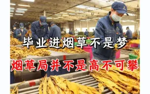 Descargar video: 25应届生注意了，烟草秋招要来了（烟草笔面试都考啥？学历门槛如何？薪资待遇如何？）