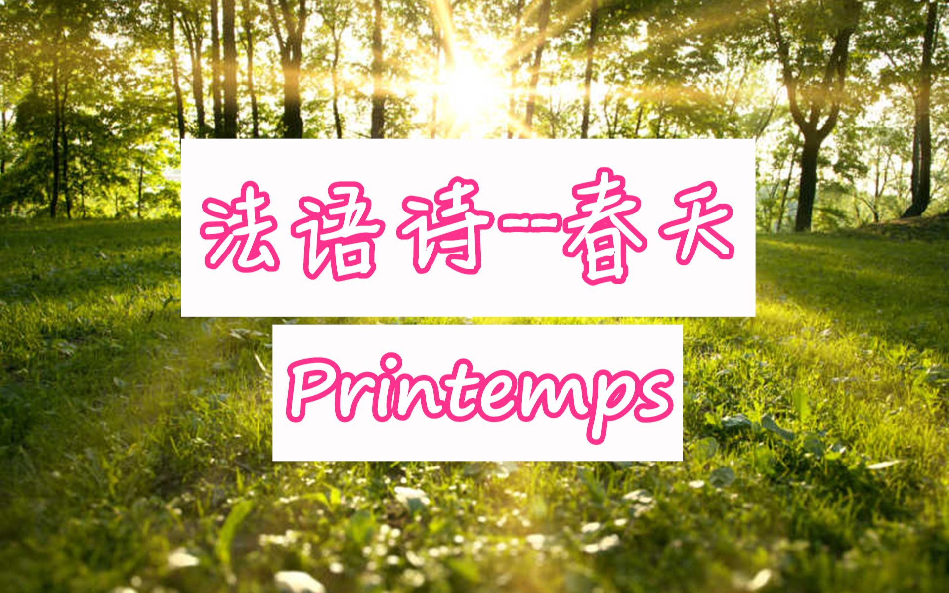 法语 诗歌 春【Printemps】 维克多雨果【Victor Hugo】哔哩哔哩bilibili