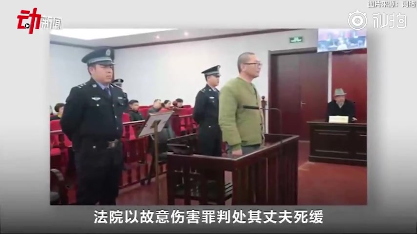 家暴实施者会受到哪些惩罚,青海妇联回应前女记者自述遭家暴,中央政法委评金瑜被家暴哔哩哔哩bilibili