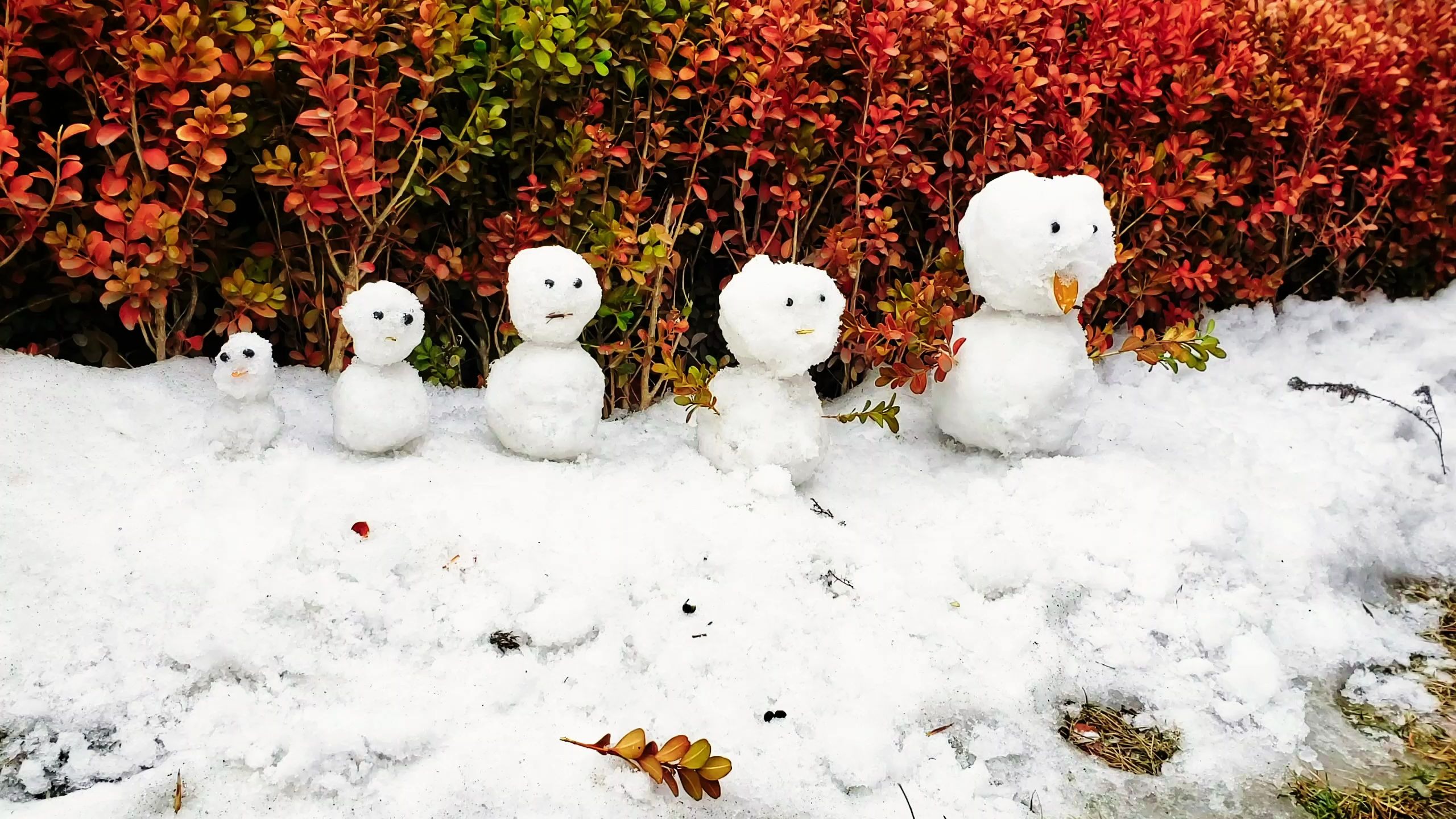 第一次来感受北方的雪 塑料雪人姐妹花