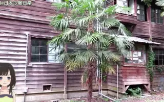 宿舍寮 搜索结果 哔哩哔哩 Bilibili