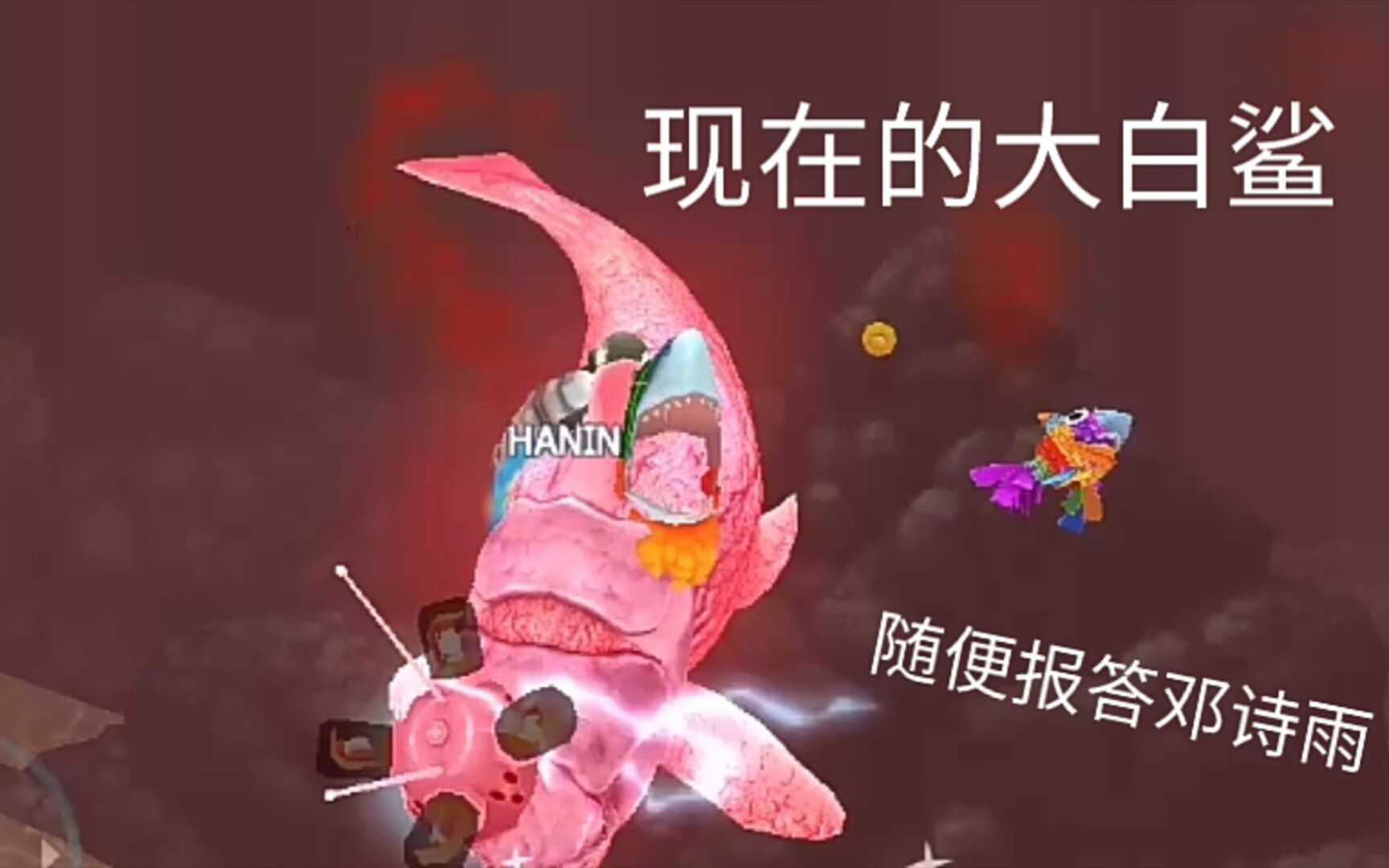 【饥饿鲨进化】以前的大白鲨vs现在的大白鲨(纯属娱乐)
