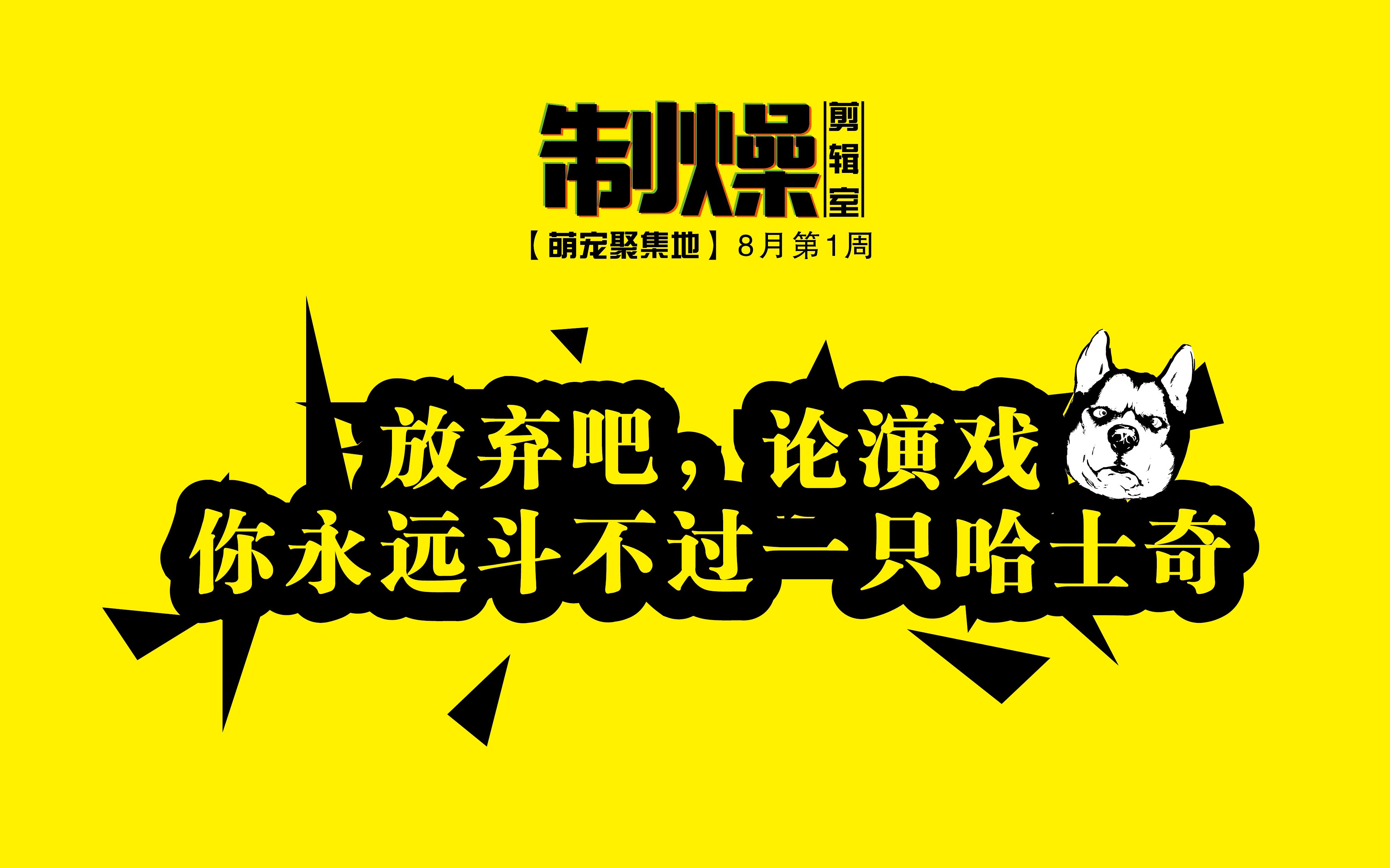 【萌宠聚集地】8月第一周 放弃吧,论演戏你永远斗不过一只哈士奇_哔哩