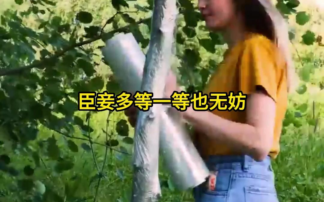 《图像果断》小说推文 每日推文 文荒推荐哔哩哔哩bilibili