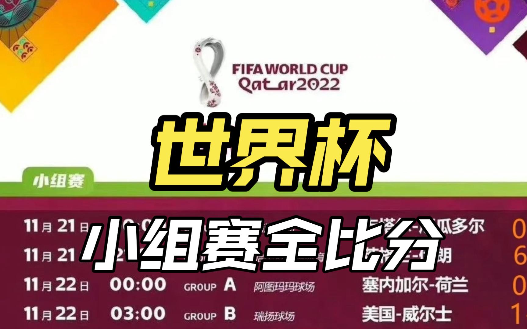 2022卡塔尔世界杯小组赛全部比分哔哩哔哩bilibili